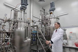 投資迷途 2500萬(wàn)投資續(xù)命藥，兩年市值蒸發(fā)2億美元的警示